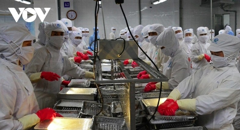 Seafood exports projected to fall sharply in Q4 amid US tariff imposition